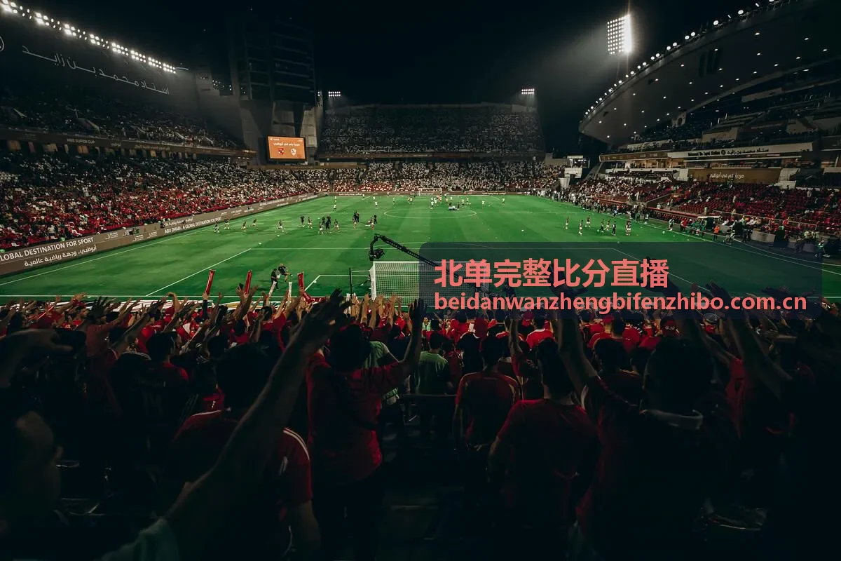 北单完整比分直播赛后复盘场景